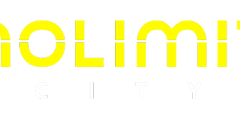 Visa partner logo